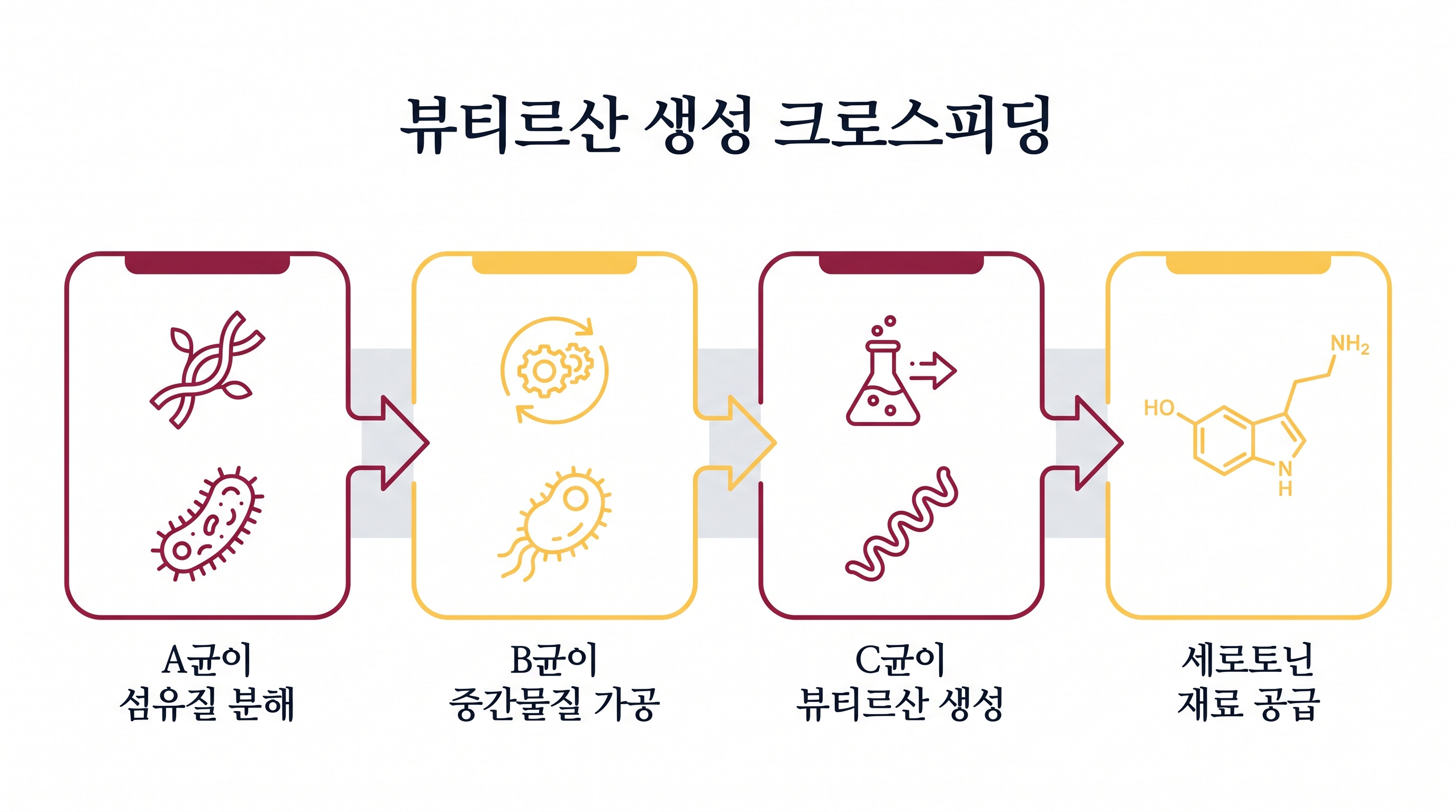 장내 미생물이 행복 호르몬 재료를 만드는 협업 과정
